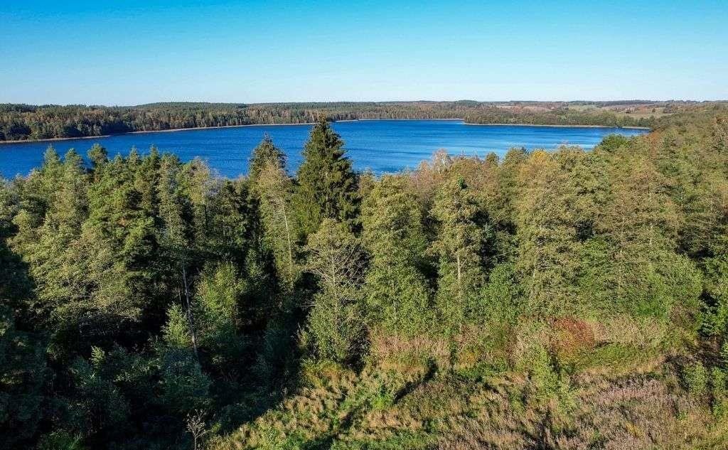 Działka rolna na sprzedaż Ramsowo  6 195m2 Foto 13