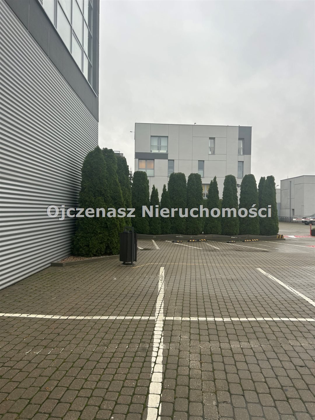 Zdjęcie 2