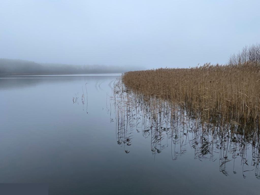 Działka rolna na sprzedaż Goleń  4 238m2 Foto 5