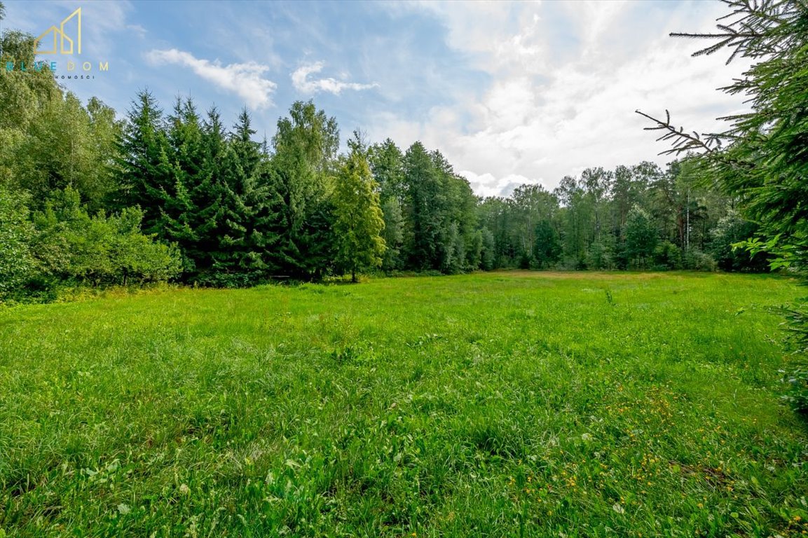 Działka inna na sprzedaż Brak miasta  9 180m2 Foto 6