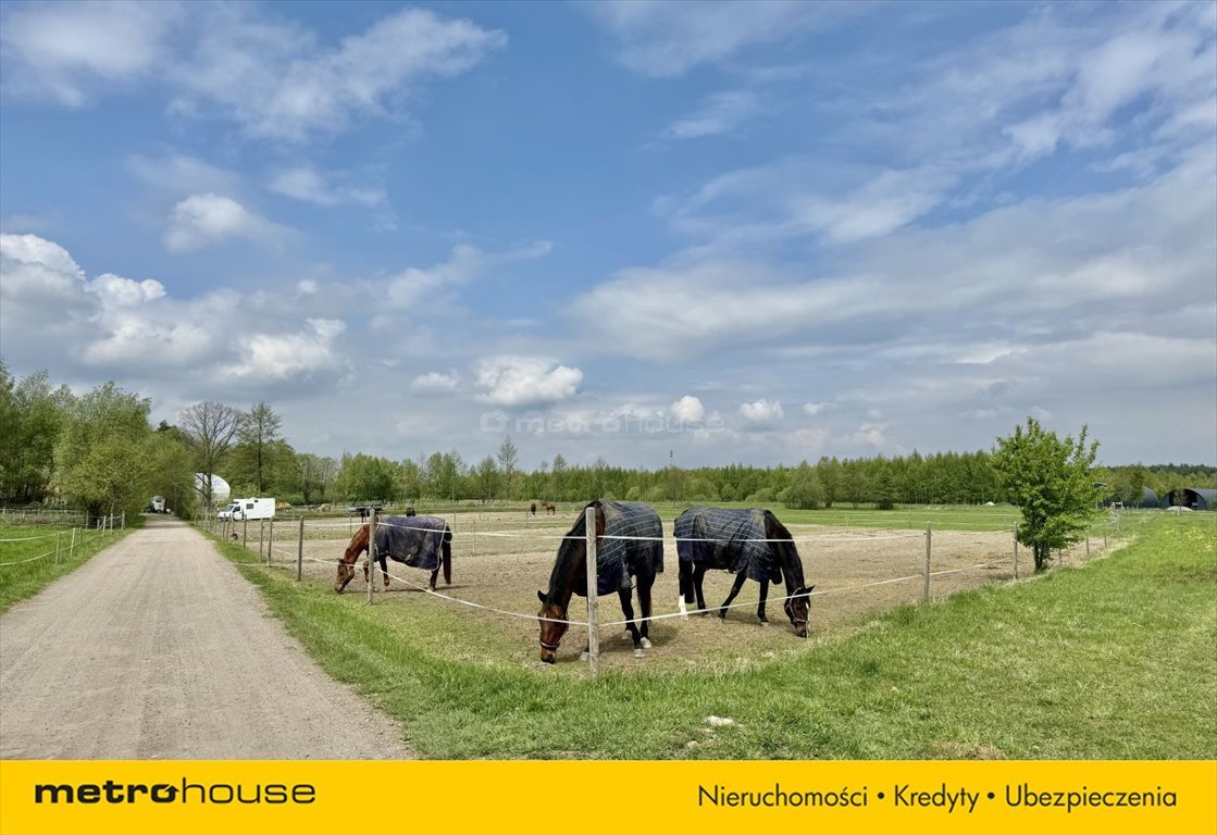 Działka inna na sprzedaż Świętochów, Spokojna  4 800m2 Foto 7