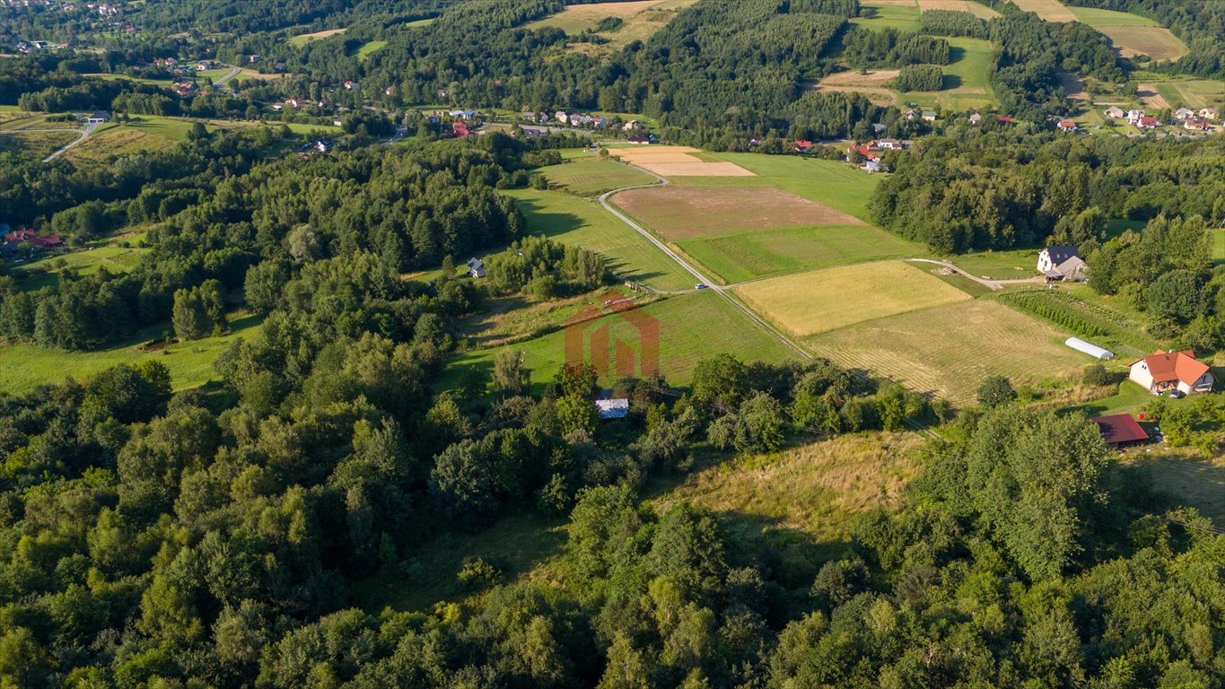 Działka budowlana na sprzedaż Straszydle  2 500m2 Foto 4