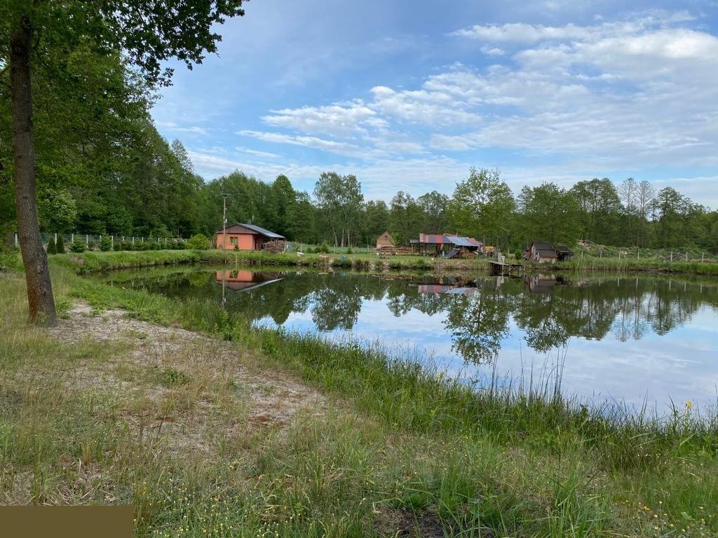 Działka budowlana na sprzedaż Sromutka  17 000m2 Foto 13