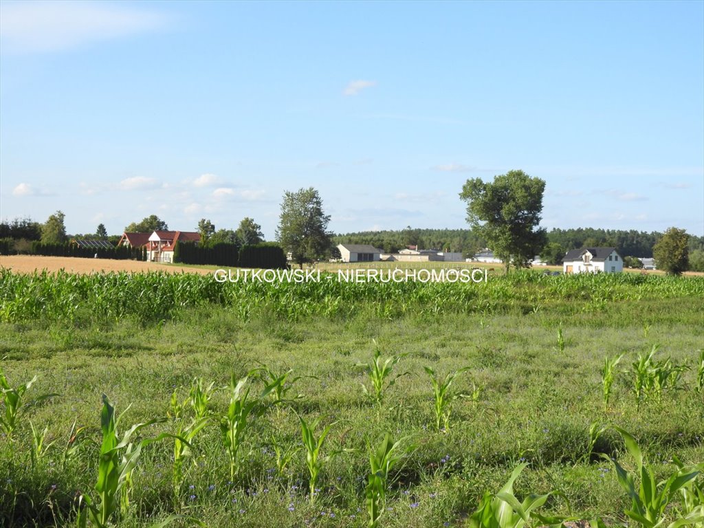 Działka rolna na sprzedaż Tynwałd  4 700m2 Foto 1