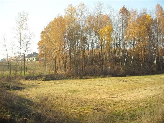 Działka budowlana na sprzedaż Ruda-Bugaj  14 800m2 Foto 1