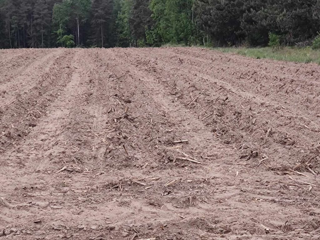 Działka budowlana na sprzedaż Trypucie  980m2 Foto 1