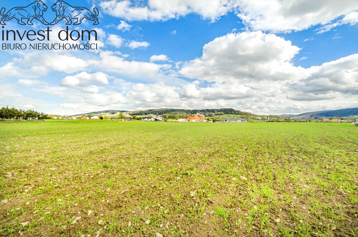 Działka budowlana na sprzedaż Sękowa  7 046m2 Foto 1