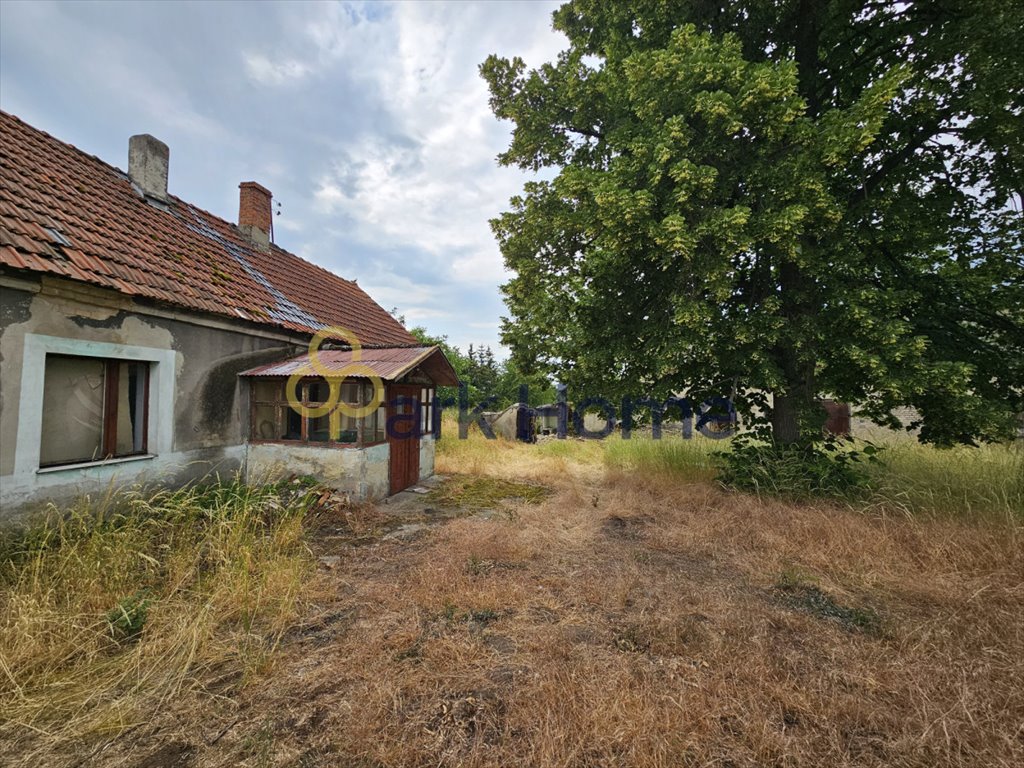 Działka budowlana na sprzedaż Gierłachowo  7 837m2 Foto 2