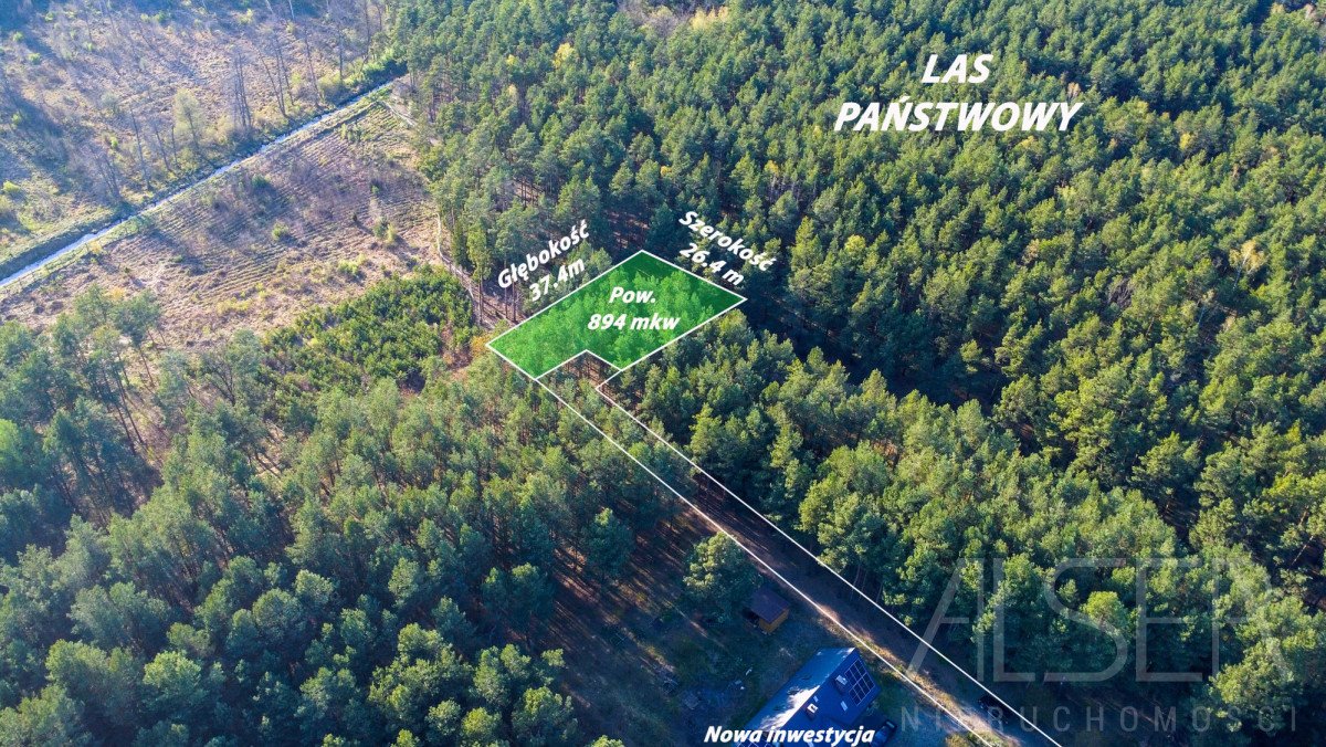 Polecam działkę 894 m² z warunkami zabudowy i lasem Podgać  894m2 Foto 1
