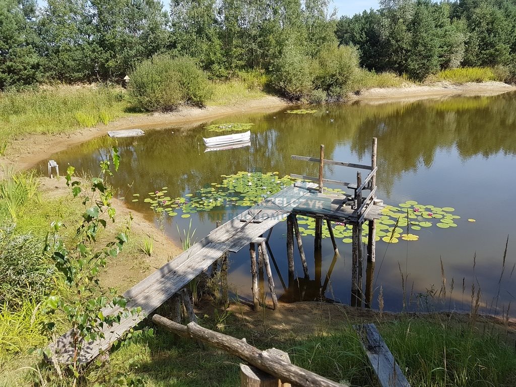 Działka budowlana na sprzedaż Sierzchów  10 000m2 Foto 13