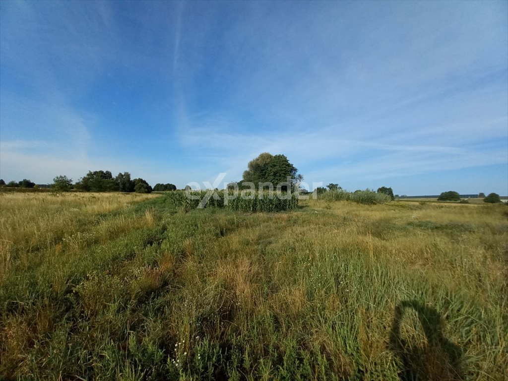 Działka rolna na sprzedaż Kruszyn Krajeński, Lipowa  28 705m2 Foto 3