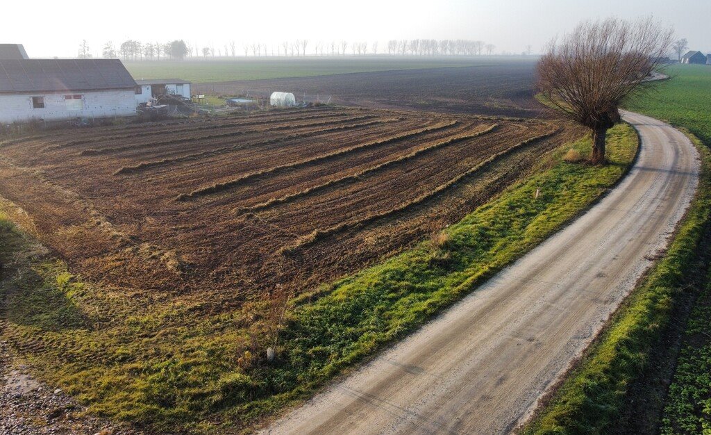 Działka budowlana na sprzedaż Czerlejno, Wierzbowa  1 011m2 Foto 2