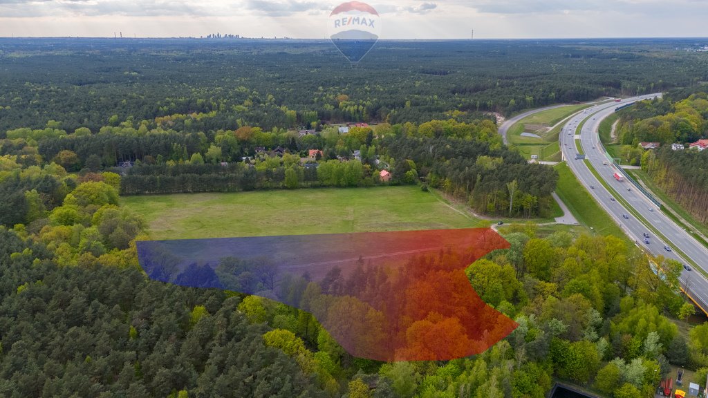 Działka budowlana na sprzedaż Emów, Gołębia  32 563m2 Foto 10