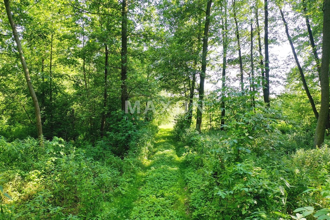 Działka budowlana na sprzedaż Gać  15 000m2 Foto 6