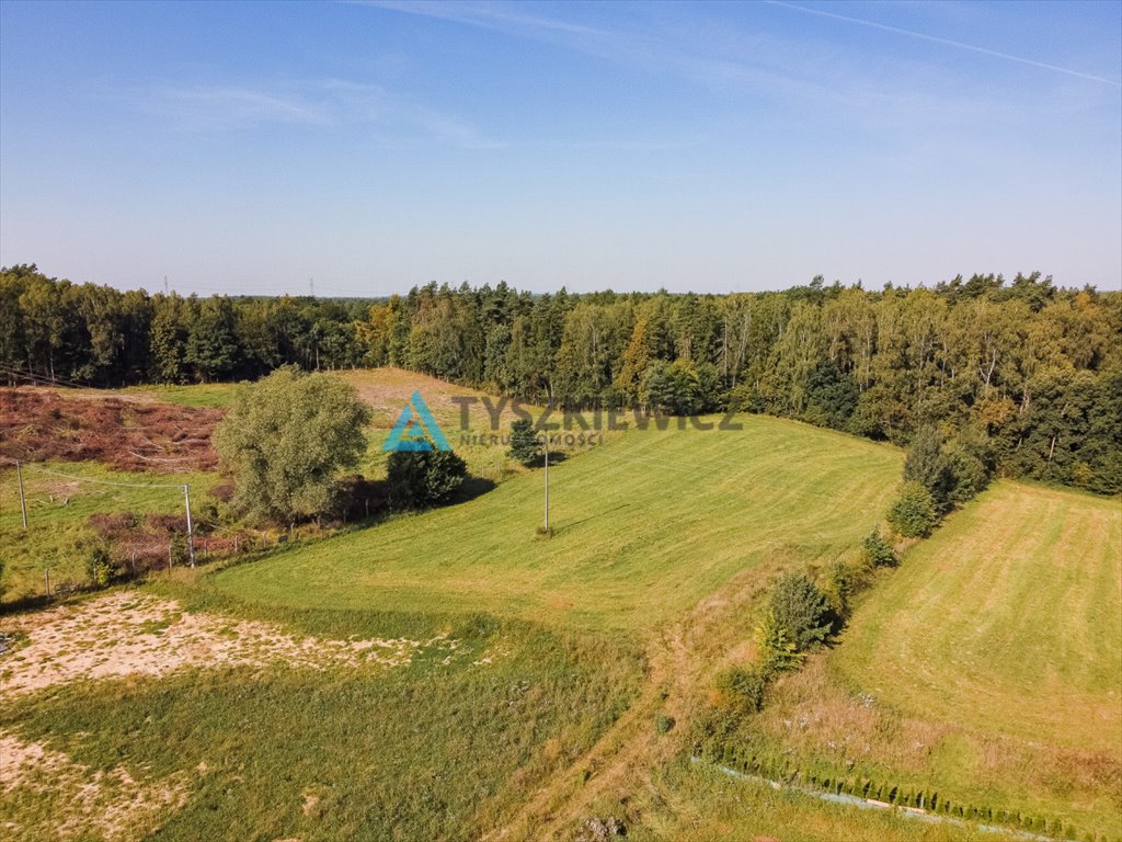 Działka budowlana na sprzedaż Rywałd, Sadowa  3 119m2 Foto 5