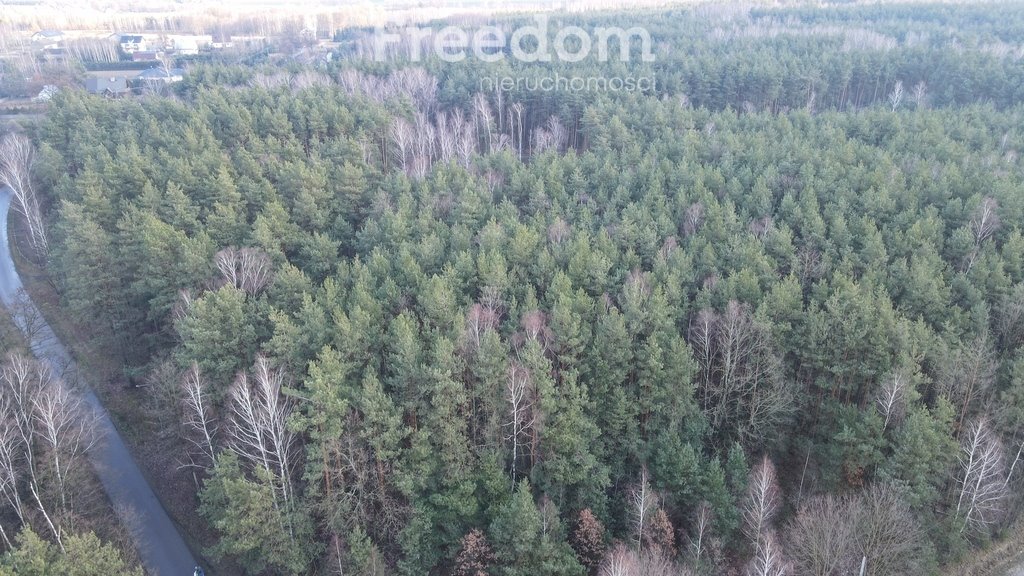 Działka budowlana na sprzedaż Izabelin  4 000m2 Foto 7