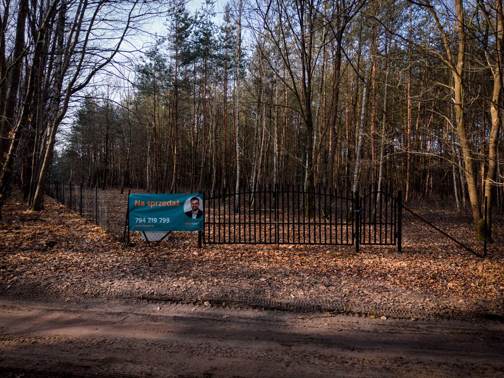 Działka 1459 m² w Sokolnikach-Las – las, media, MPZP Sokolniki-Las, Graniczna  1 459m2 Foto 1