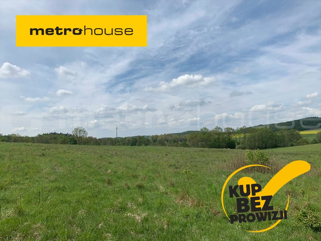 Działka inna na sprzedaż Trzepowo, Przywidz 1 002m2 Foto 1 Działka inna na sprzedaż Trzepowo, Przywidz 1 002m2 Foto 1