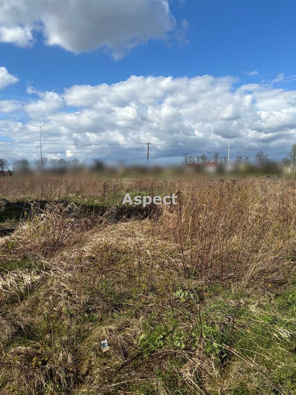 Działka inwestycyjna na sprzedaż Pawłowice  880m2 Foto 1