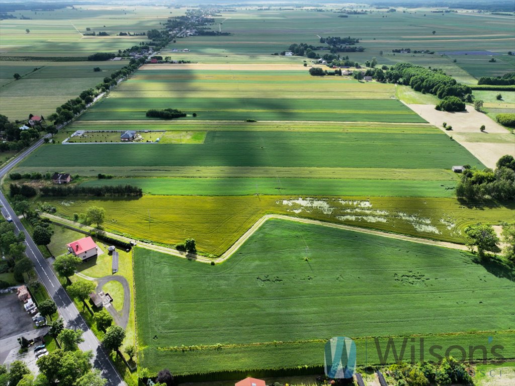 Działka 16 790 m² z MPZP, las i stan surowy budynku Nowa Brzeźnica, Kościuszki  16 790m2 Foto 1