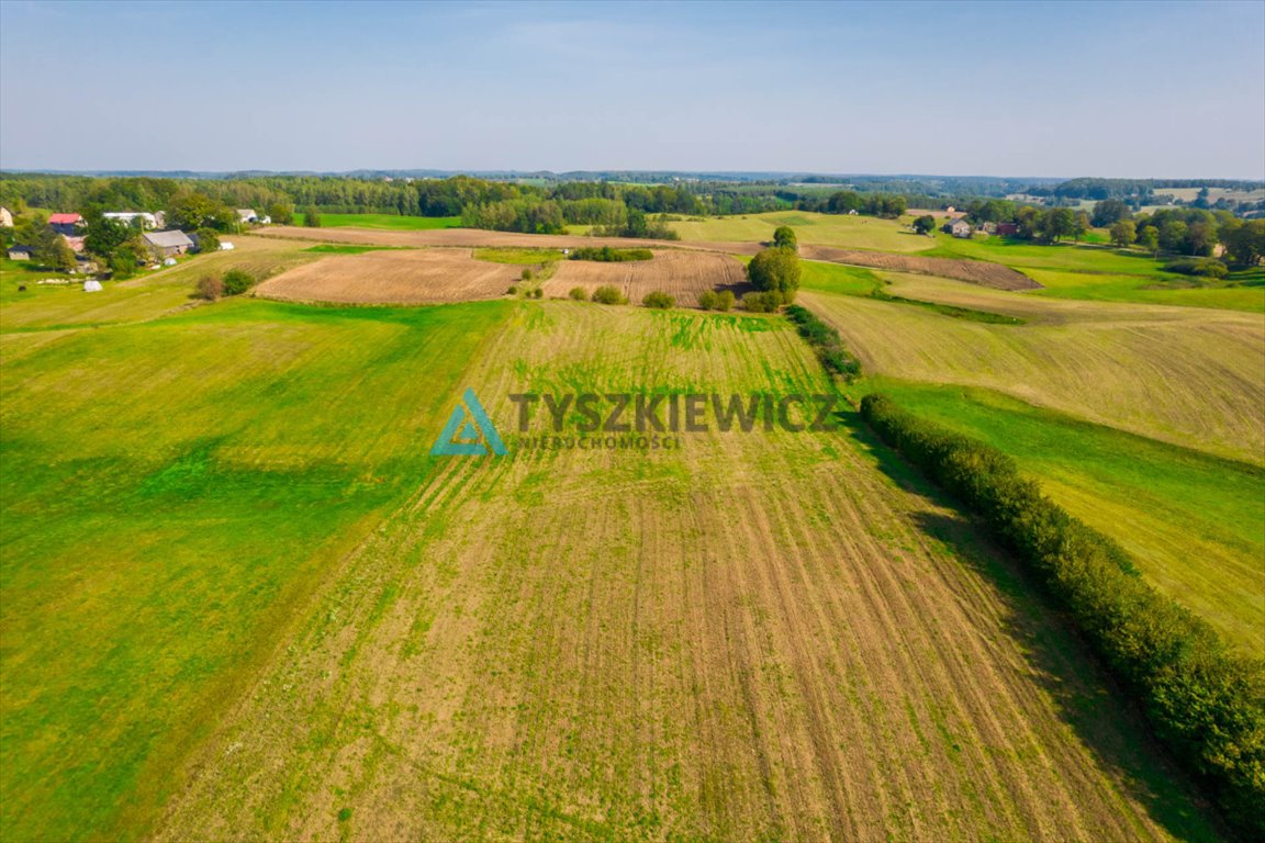 Działka rolna na sprzedaż Grabowo Kościerskie  64 386m2 Foto 9