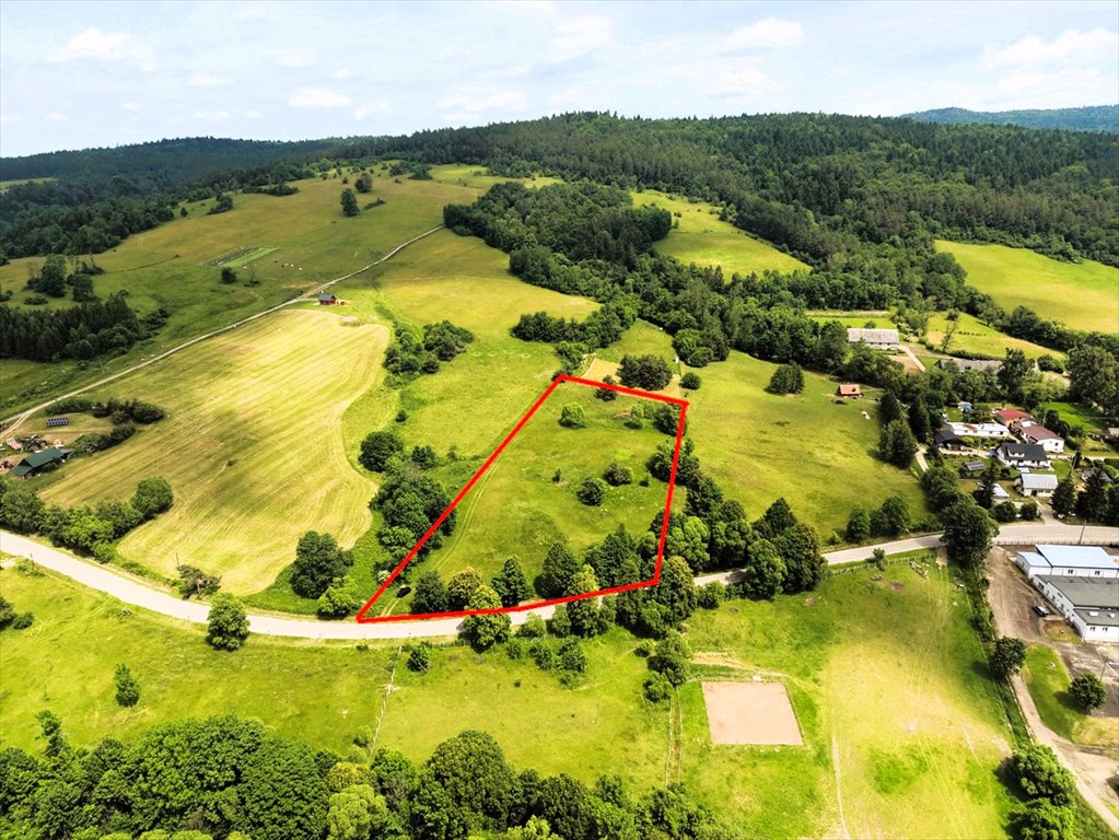 Widokowa działka 97 ar w Kotańiu - idealna na rekreację Kotań  9 700m2 Foto 1