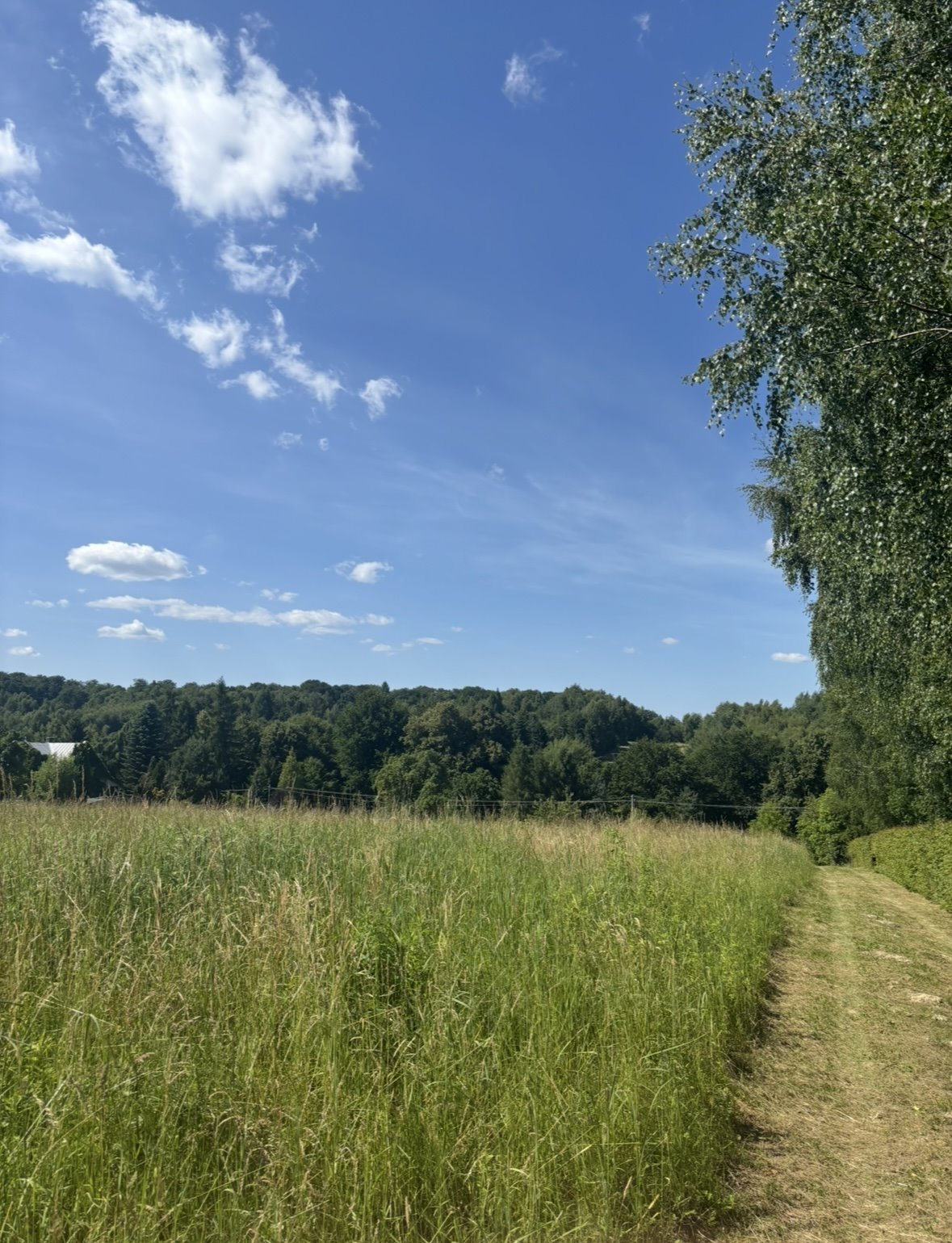Polecam działkę bud.-rolną z domkiem, media, las, spokojna okolica Czułów  9 000m2 Foto 1