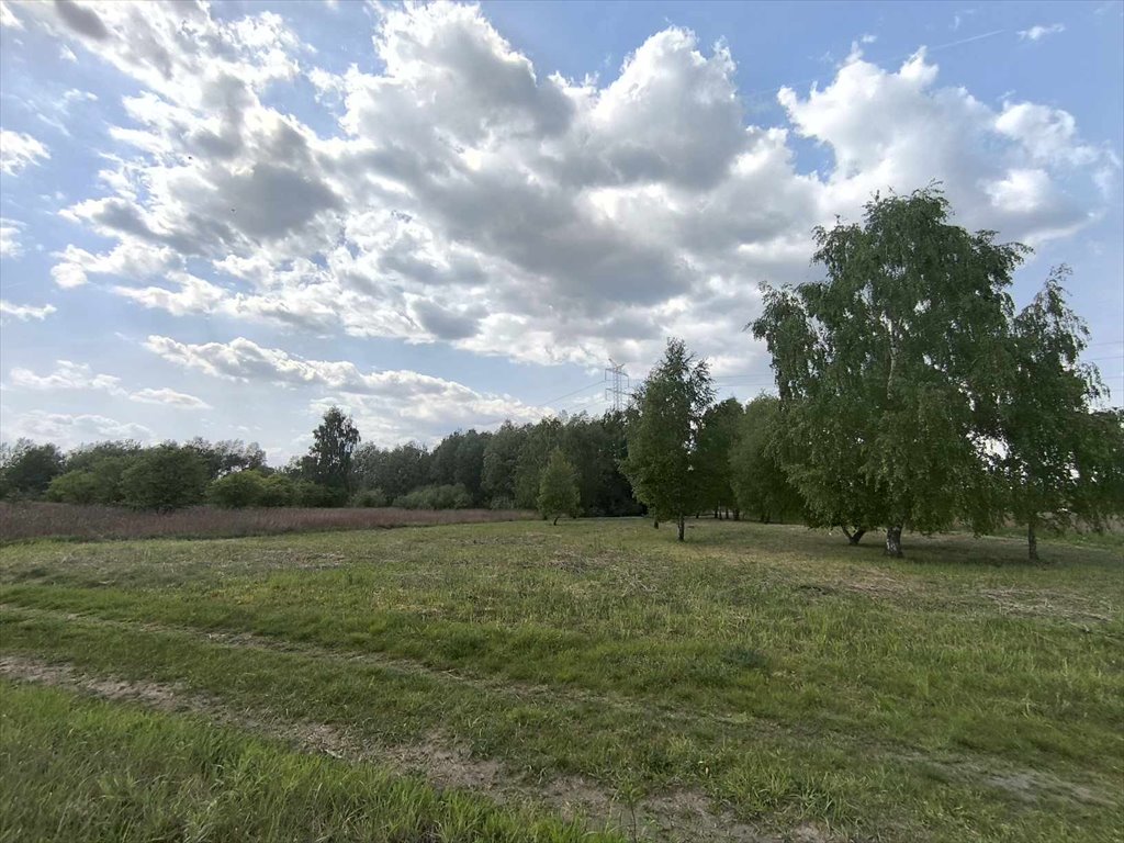 Działka budowlana na sprzedaż Stare Babice  3 400m2 Foto 8