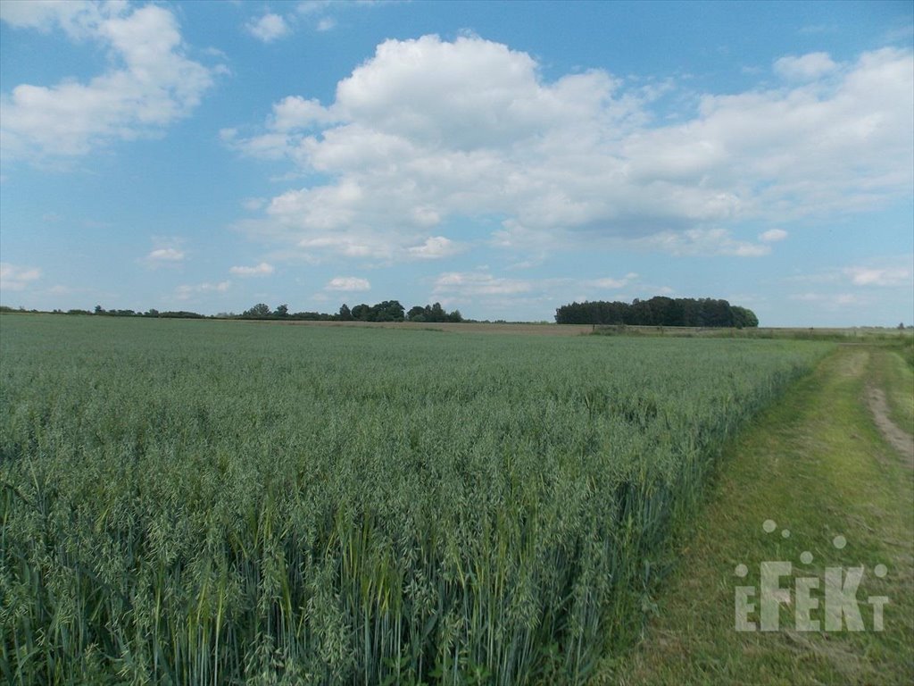 Działka rolna na sprzedaż Stary Łajszczew  50 406m2 Foto 2