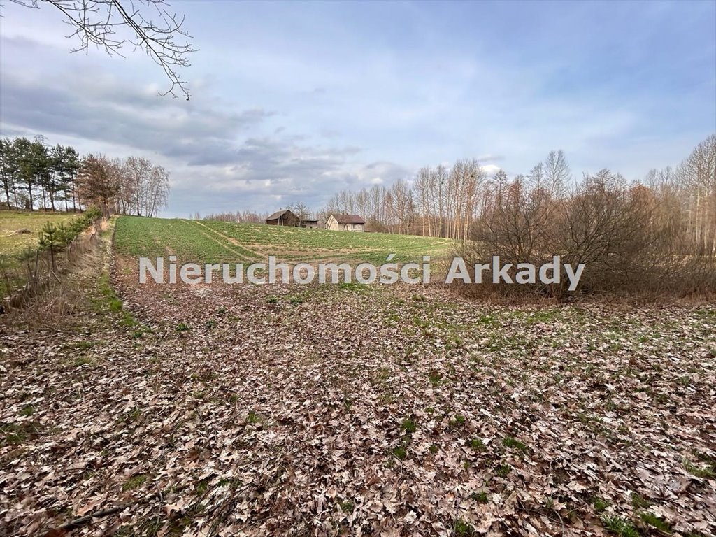 Działka inna na sprzedaż Zebrzydowice Górne, Groblowa  9 156m2 Foto 12