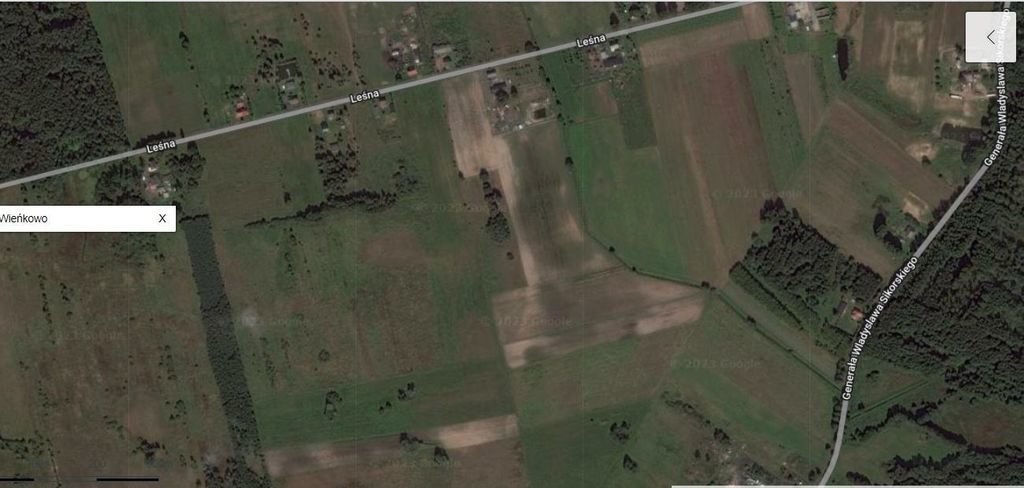 Działka rolna 3,38 ha z możliwością rozbudowy w Wieńkowie Wieńkowo  33 800m2 Foto 1