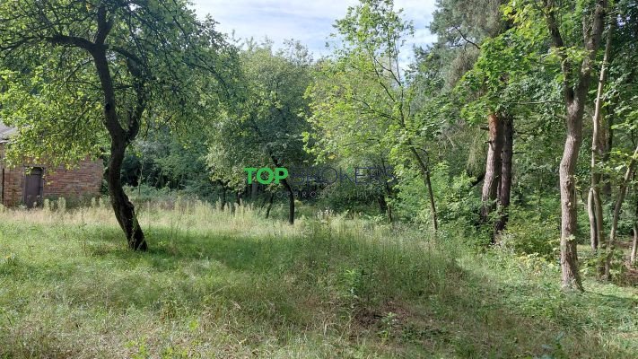 Działka budowlana 1589 m2 przy lesie w Józefowie.: Józefów