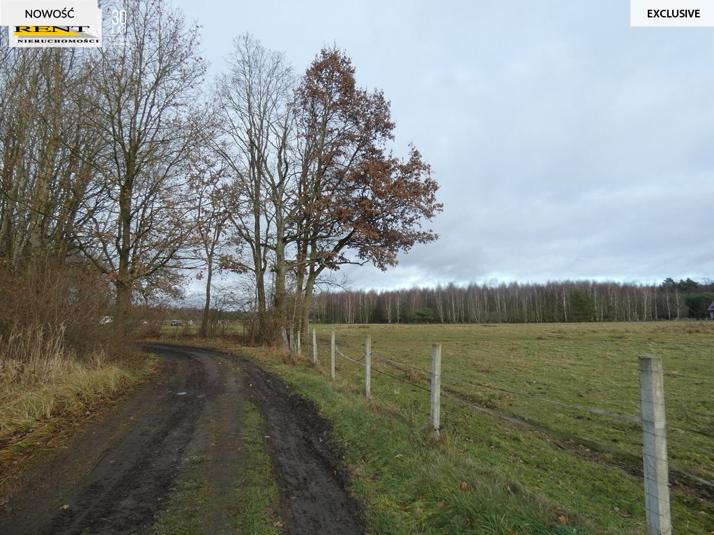 Działka budowlana na sprzedaż Krzywice  3 000m2 Foto 4