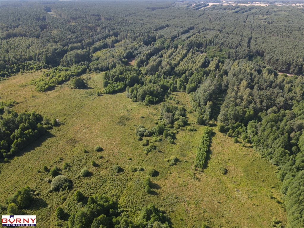 Działka inna na sprzedaż Stobnica-Piła  7 300m2 Foto 10