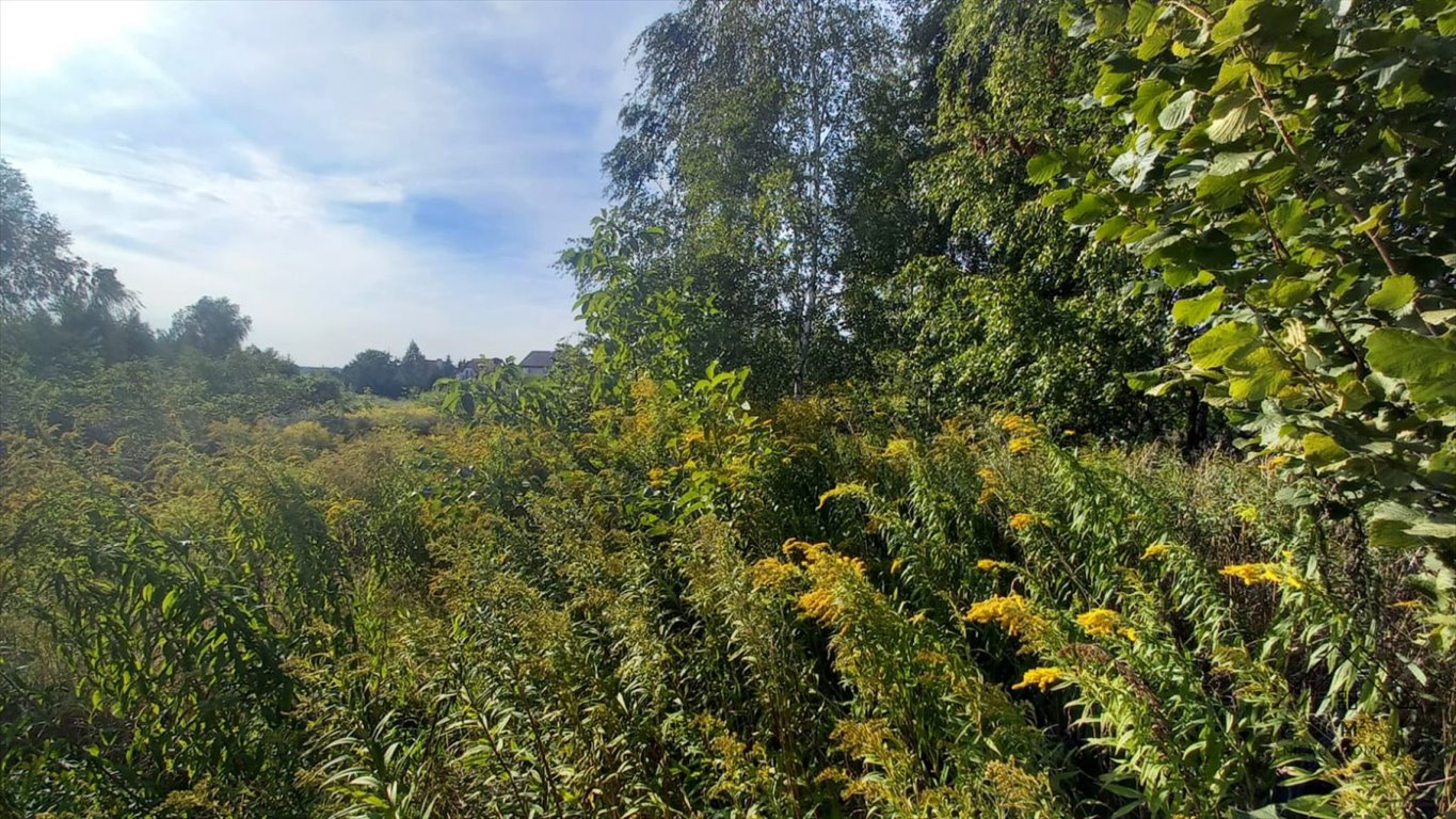 Działka rolna na sprzedaż Rypin, Spokojna 16  1 187m2 Foto 3