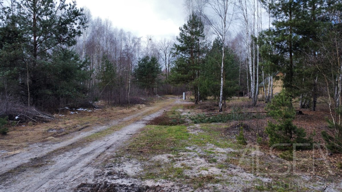 Działka budowlana na sprzedaż Ławki, Wrzosowa  1 000m2 Foto 8