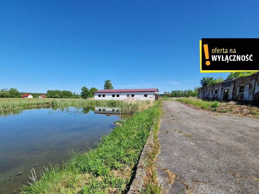 Działka budowlana na sprzedaż Włynice  195 810m2 Foto 1