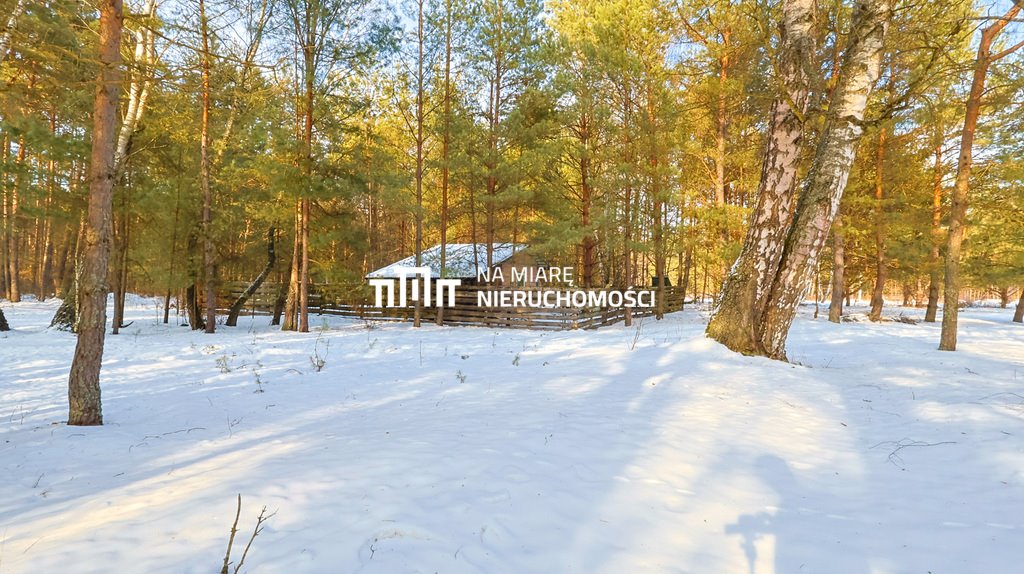 Działka leśna 1,2 ha z domkiem i tarasem w Radawie Radawa  12 000m2 Foto 1