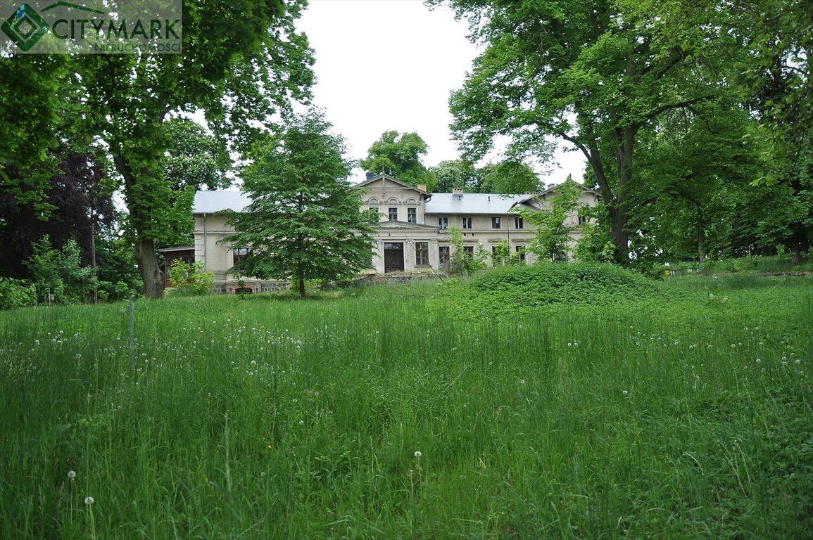 Dom na sprzedaż Stradzewo  2 100m2 Foto 6