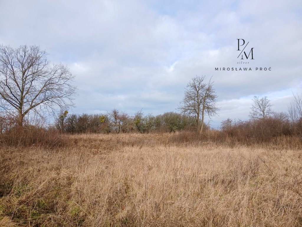 Działka budowlana na sprzedaż Piskorzyna  2 296m2 Foto 2