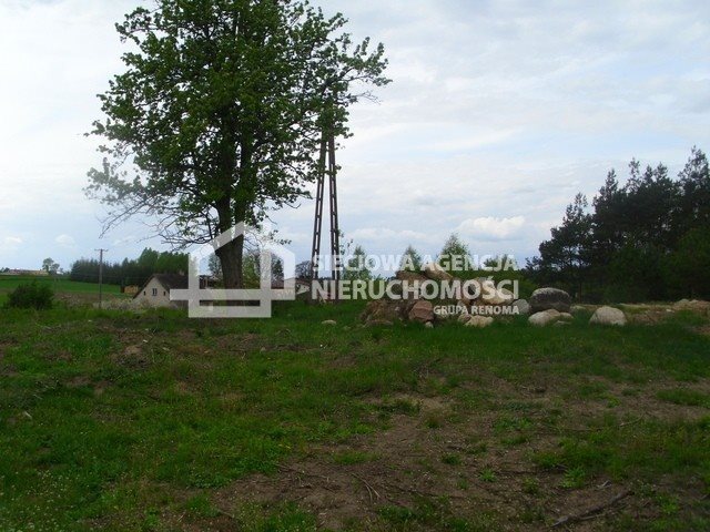 Działka w Miedznie 4 564 m², las, jeziora, cisza Miedzno  4 564m2 Foto 1