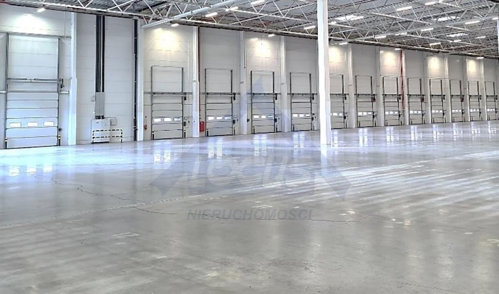 Magazyn 1 922 m2 z biurem, monitoring, wysoki standard Jawczyce  1 922m2 Foto 1
