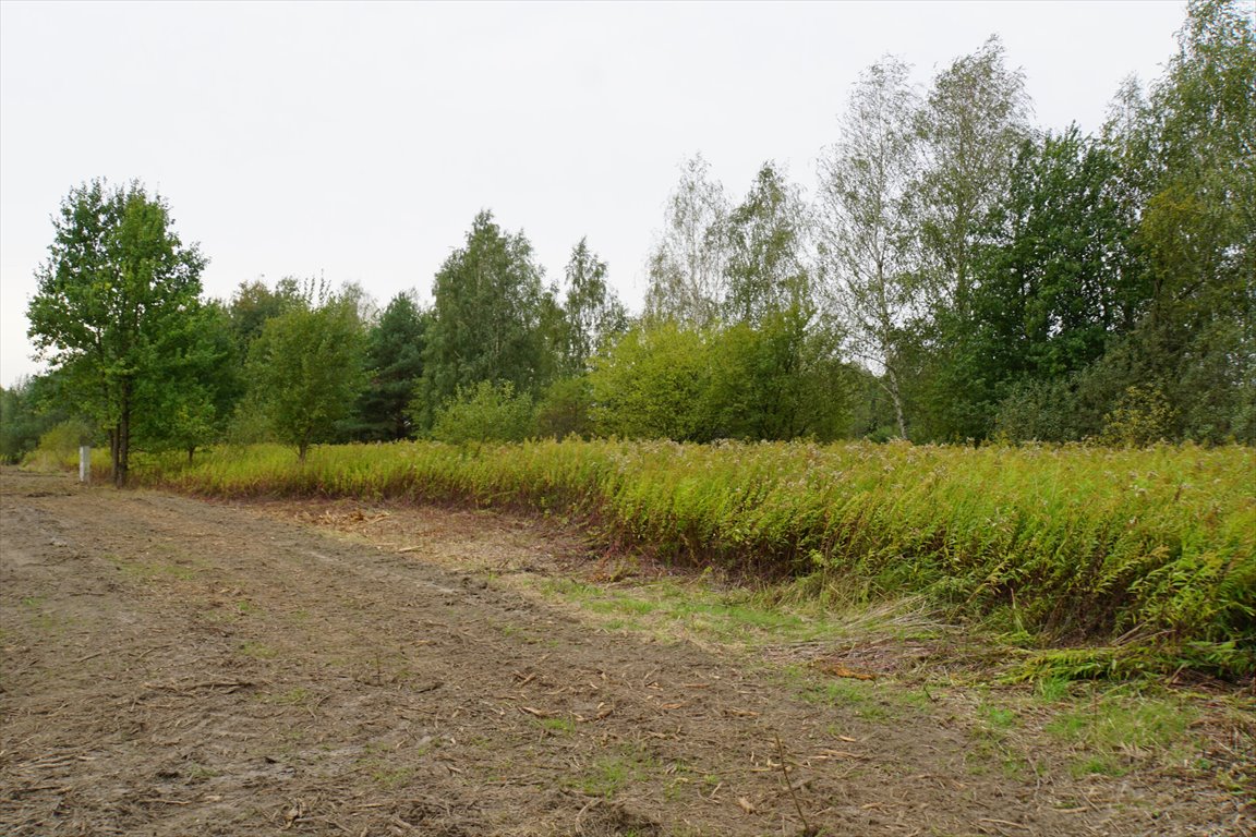 Działka budowlana na sprzedaż Duchnów, Ustronna  800m2 Foto 2