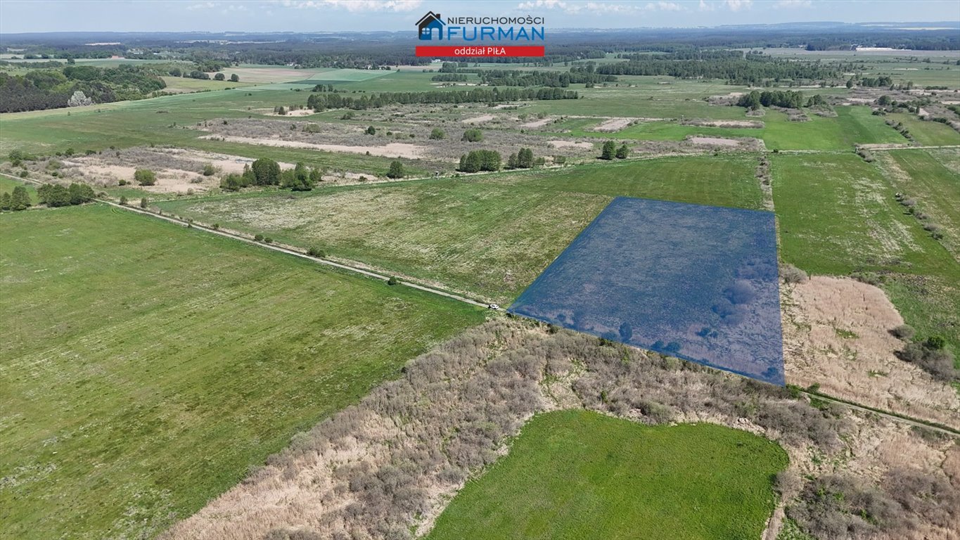 Polecam dużą działkę 2,38 ha w Białej, idealną pod rolnictwo Biała  23 800m2 Foto 1