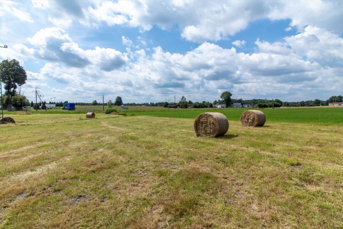 Działka budowlana na sprzedaż Woźniki, Dyrdy, Asfaltowa  1 233m2 Foto 8