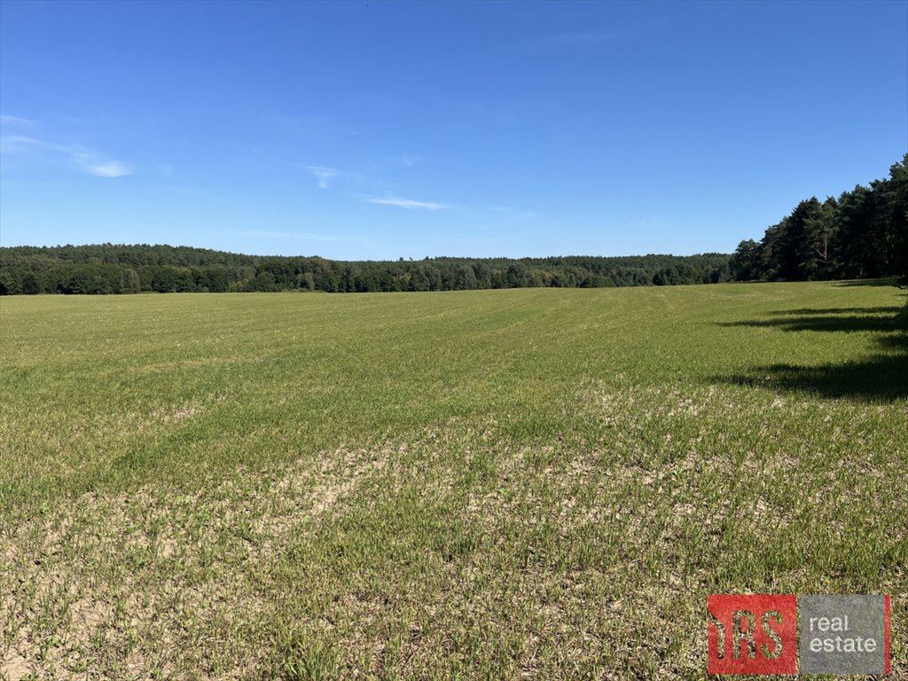 Działka budowlana na sprzedaż Niemierze  40 000m2 Foto 2