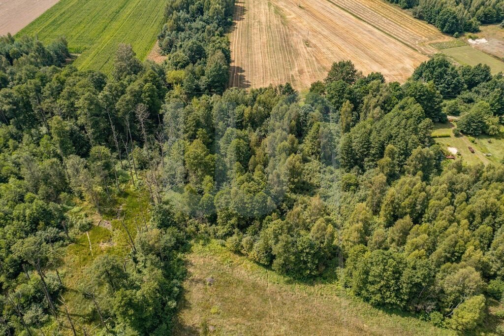 Działka budowlana na sprzedaż Rowy  6 400m2 Foto 7