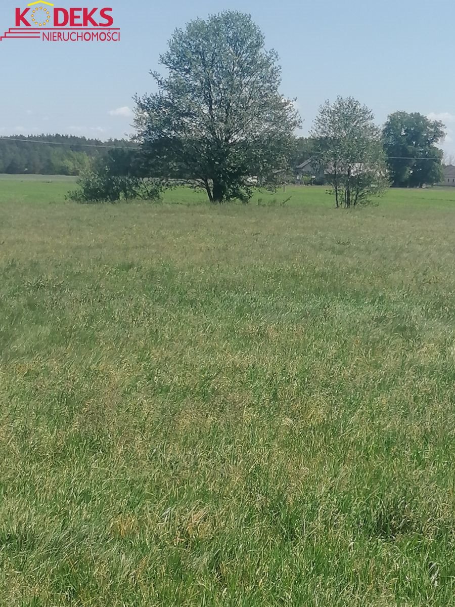 Działka budowlana na sprzedaż Karolinowo  3 100m2 Foto 1