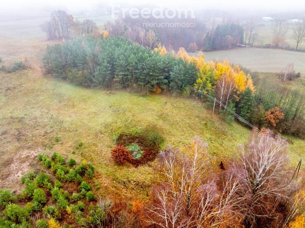 Działka budowlana na sprzedaż Czarna Huta, Szara  15 200m2 Foto 6