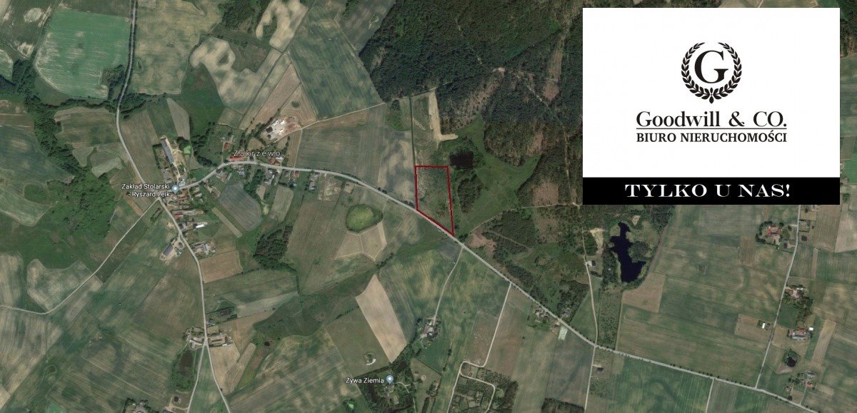Działka inwestycyjna na sprzedaż Zakrzewo 12 400m2 Foto 1 Działka inwestycyjna na sprzedaż Zakrzewo 12 400m2 Foto 1